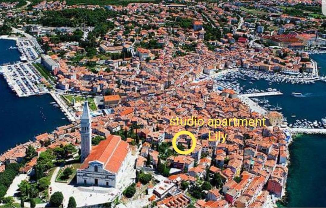 Studio Apartment Lily Rovinj Zewnętrze zdjęcie
